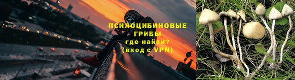 кокс Алзамай