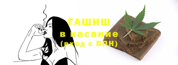 прущие грибы Надым