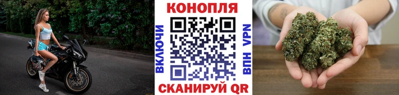 Марихуана Bruce Banner  Минусинск 
